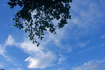 Obraz premium Blue and white sky background texture 