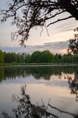 Afternoon lake scenery.