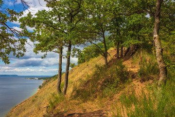 Fototapeta na wymiar view from the cliff in Togliatti to the Volga