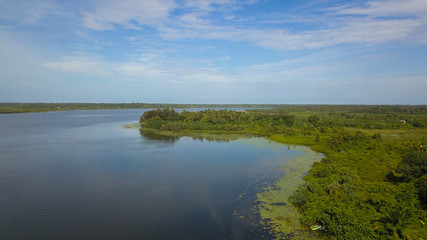 Fototapeta na wymiar View of the south Bolgoda Lake in Sri Lanka