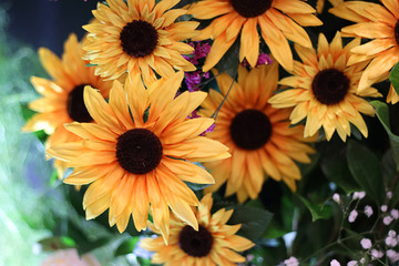 flowers on a black background