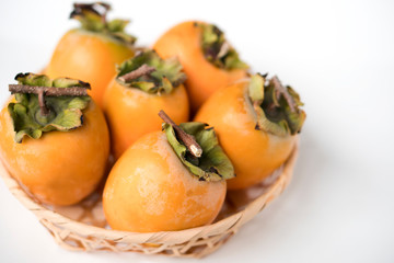 美濃柿　persimmon