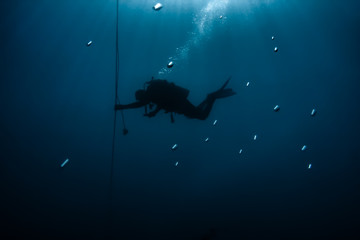 A silhouetted scuba diver holds on to the drop line from his boat during the mandatory three minute safety stop at 15 feet following a recreational dive. Dry Tortugas, Florida, Gulf of Mexico.