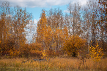 Fototapeta premium Autumn landscape. Village houses are reflected in the river lake, like gingerbread. Evening sun, sunset. Colorful trees yellow, red, purple shades. Blue sky with light clouds. Russia, Siberia, Perm