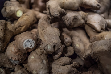 Fresh Ginger stock photo