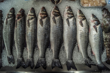 Obraz premium Fresh fishes on ice stock photo