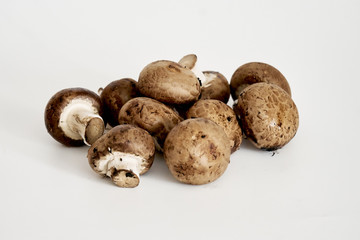 Champignons , saveurs d'automne .