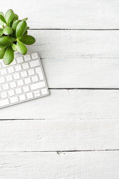 Elegant computer keyboard and small green flower on white wooden table. Business background