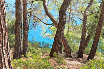 Obraz premium View of the azure lagoon of the Mediterranean Sea