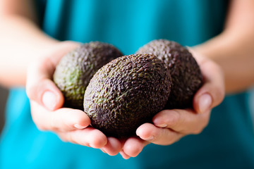 Hand holding ripe hass avocado fruit