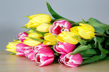 Obraz premium tulips