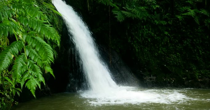Static shot of scenic nature of beautiful crayfish waterfall in park of Guadeloupe, Basse-Terre, perfect spot for a break when hiking. fresh water and calm atmosphere