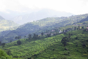 Fototapeta premium Landscape with rice terraces and road in mountains, copy space