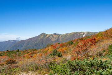 Fototapeta premium 那須岳・茶臼岳 紅葉