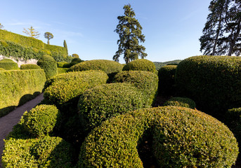  Topiary in the gardens of the Jardins de Marqueyssac in the Dordogne region of France