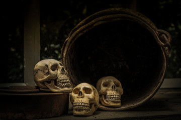 Photography  with the skull of a human skull