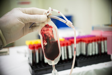  Blood Donation