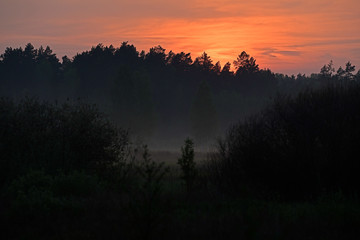 Sonnenuntergang über dem Białowieża-Urwald in Polen - sunset in Białowieża Forest in Poland
