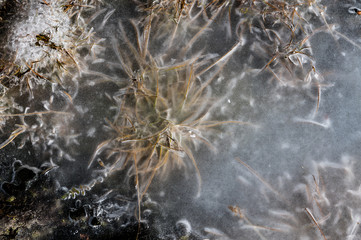 ice structure at frozen lake on Lais da Macun