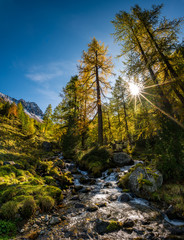 wonderful mountain creek in Val Zeznina with yellow larches and Poz Macun