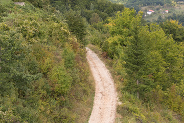 Dirt road in the mountains. Road in the mountain forest.