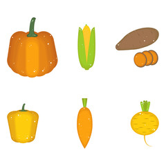Orange and yellow vegetables isolated on white background.