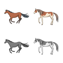 Naklejka premium Isolated object of breed and equestrian icon. Set of breed and mare stock symbol for web.