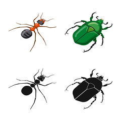 Vector illustration of nature and wildlife sign. Collection of nature and wing stock symbol for web.