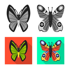 Vector design of exotic and botanic symbol. Collection of exotic and tropics stock vector illustration.