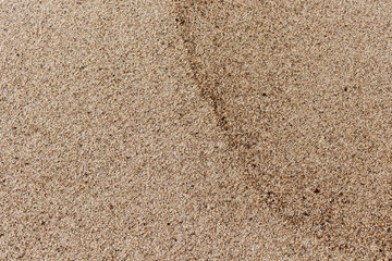 Sand texture as background.