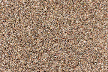Sand texture as background.
