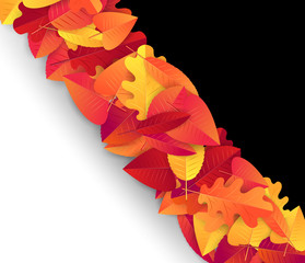 Autumn design template. Red and orange leaves on white and black background. Backdrop for fall sale concept. Vector illustration.