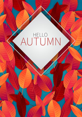 Hello autumn flyer or brochure template with red and orange leaves. Vector illustration.