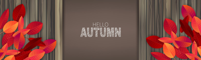 Hello autumn banner or header concept. Red and orange leaves on wooden board. Vector illustration.