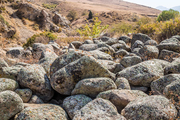 Rocks and vegetation on rocky stones in Kazakhstan