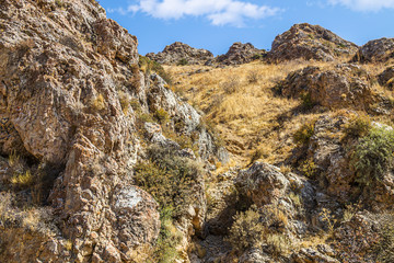 Rocks and vegetation on rocky stones in Kazakhstan