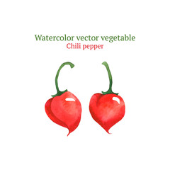 Watercolor vector chili pepper