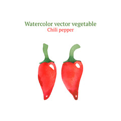 Watercolor vector chili pepper