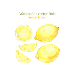 Watercolor vector lemon