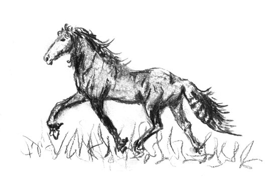 Charcoal drawing horse runnig on the field