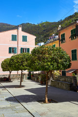 Fototapeta na wymiar Old traditional Italian house with wooden windows green shutters, flowerpots with flowers and a tangerine tree near the gate, in Riomaggiore village, Cinque Terre, Liguria, Italy
