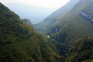 Mountain gorge overgrown with green forest