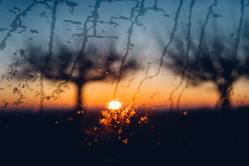 Un coucher de soleil avec des silhouettes d'arbre et des gouttes d'eau. Un lever des soleil et des...