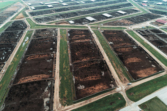 Large cowshed in the middle of green fields. Lots of stockyards where cows graze. - Powered by Adobe