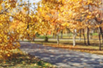 Blurred background of autumn park with bokeh. Defocused view