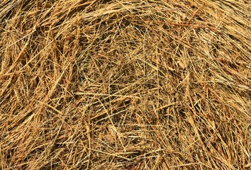 many straw hay