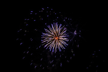 Fireworks in the sky. Salute exploded in a colorful ball in the night sky. Sparks and lights on a black background.