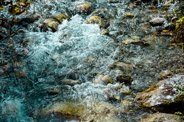 The bottom of a clear stream