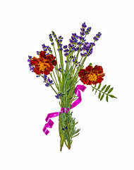 Bouquet of lavender plants on a white background