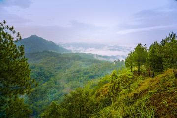 Sunrise view in the hills of Buluh Payung, Kebumen, Central Java, Indonesia